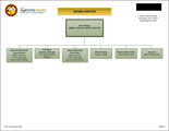 Animal Services Organizational Chart